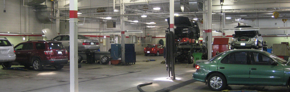 Pure Life Environmental Solutions Ltd.