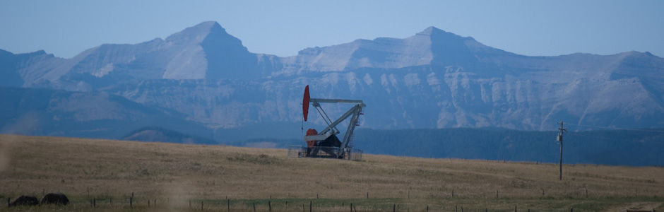 Pure Life Environmental Solutions Ltd.